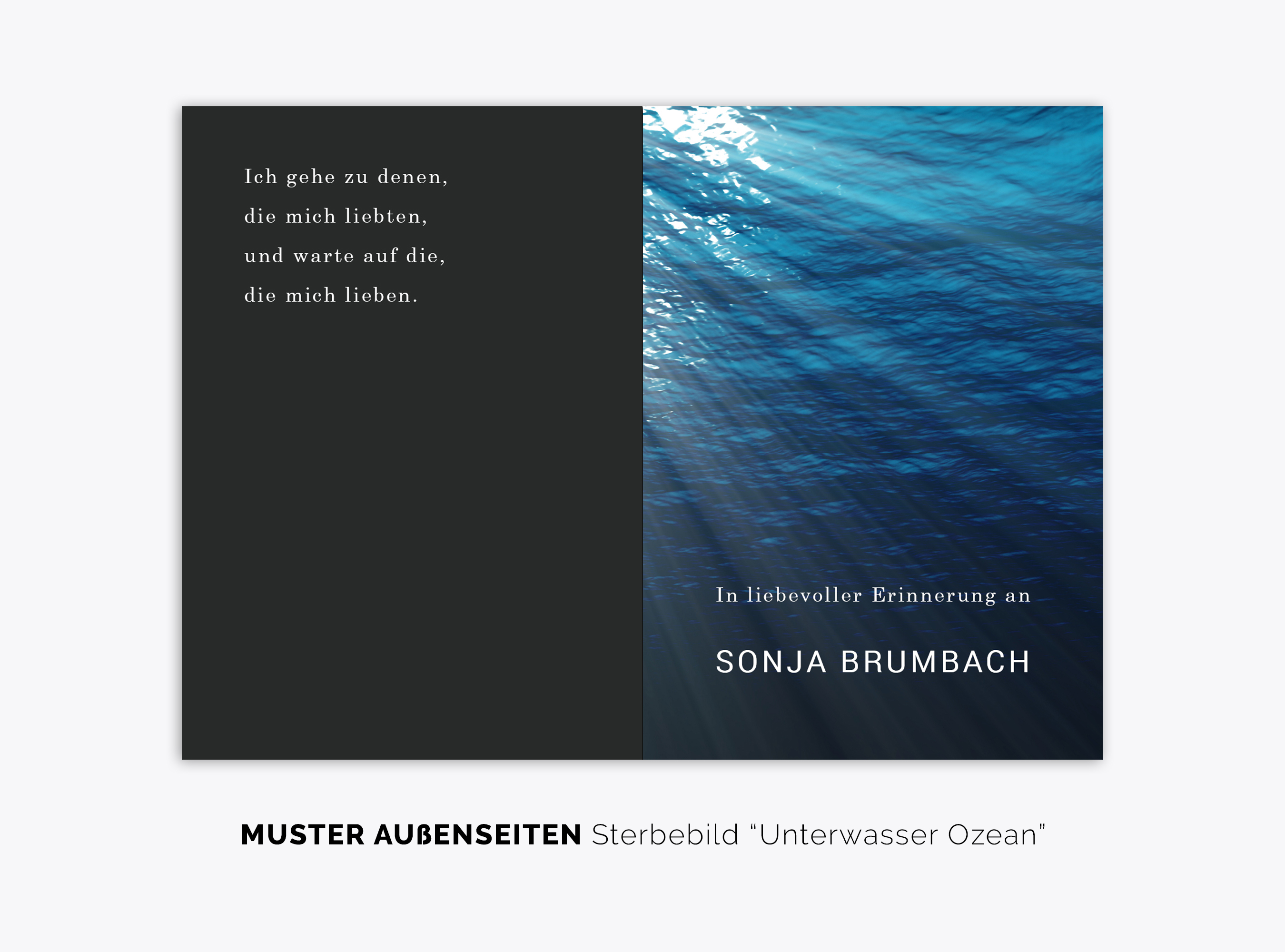 Sterbebild-Unterwasser-Ozean-100015-Vorschau-3